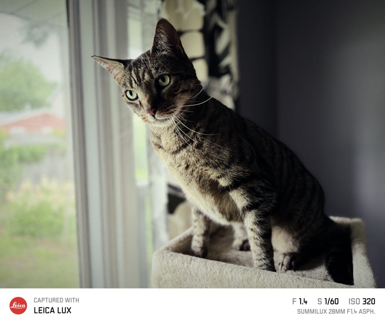 Aplicativo Leica LUX, que simula câmeras Leica