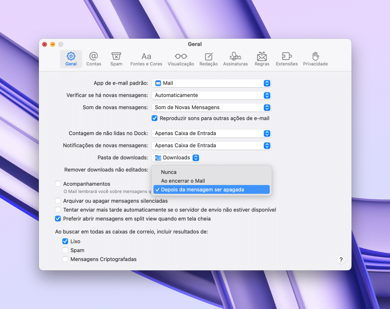 remover downloads não editados no Mail do Mac