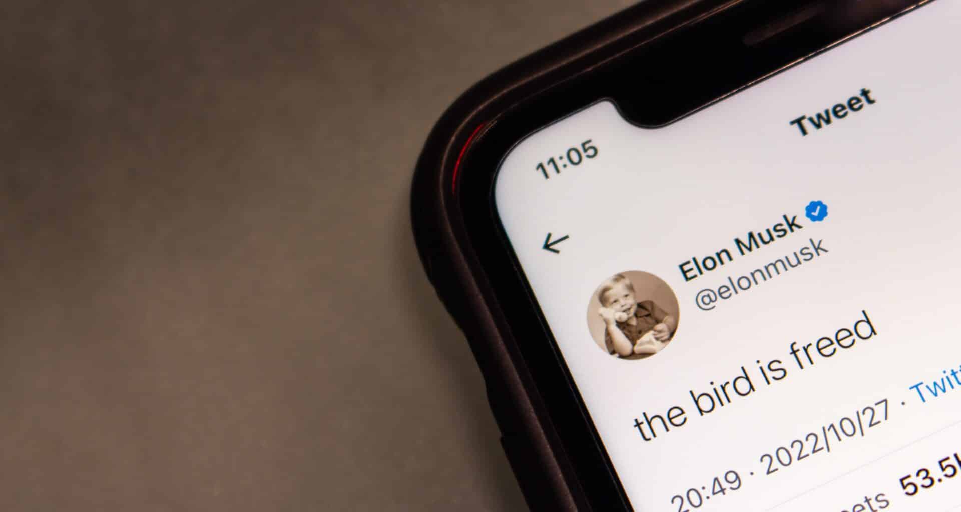 Elon Musk com o tweet "the bird is freed" num iPhone (X/Twitter)
