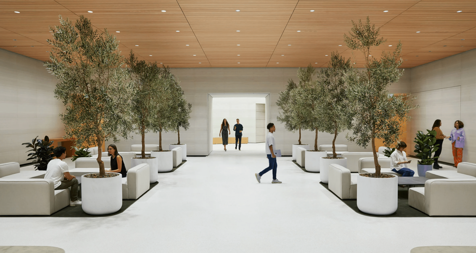 "The Observatory", do Apple Park