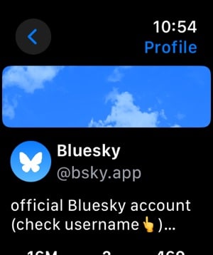 Butterfly Bluesky Apple Watch Profile