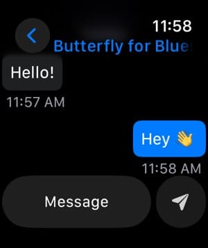 Butterfly Bluesky Apple Watch DM