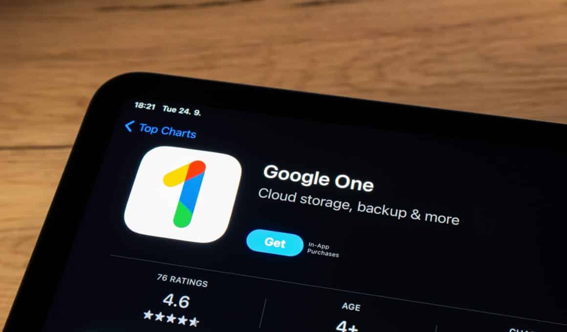 App Google One na App Store (iPad)