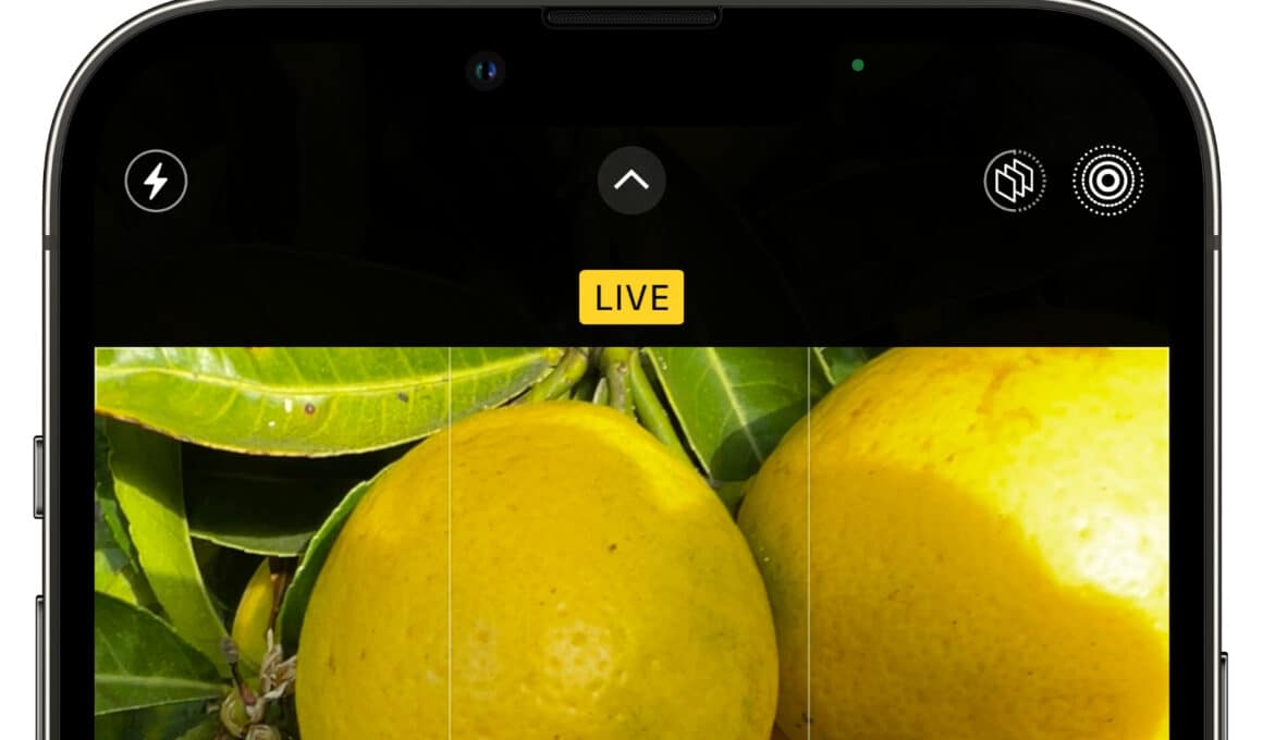 Ícone de Live Photo no iOS