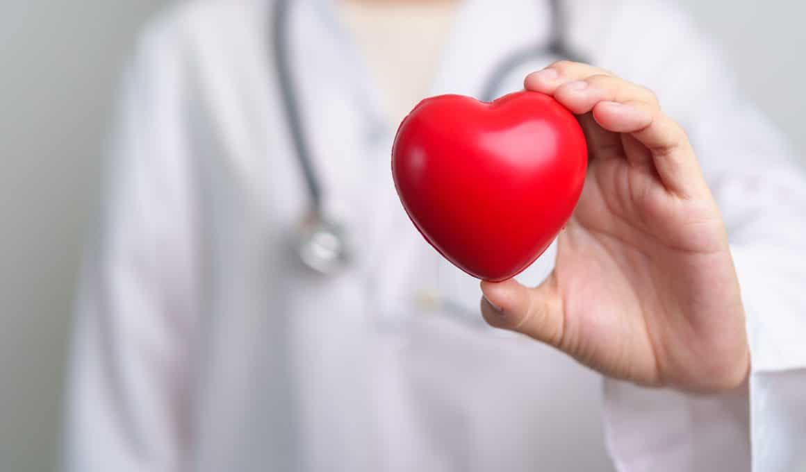 Médico segurando um coração de mentira, representando saúde