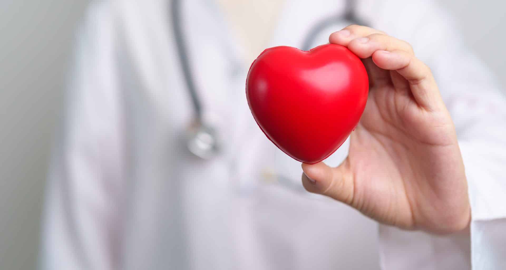 Médico segurando um coração de mentira, representando saúde