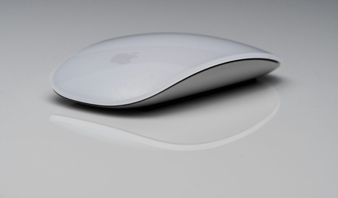 Magic Mouse