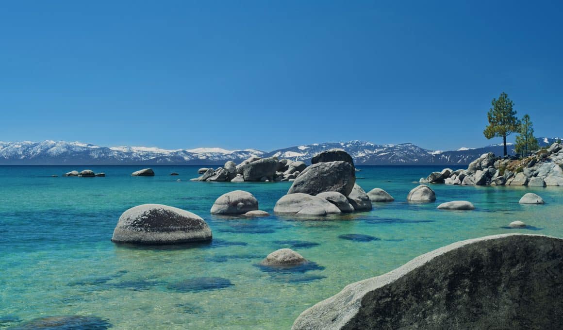 Tahoe Day