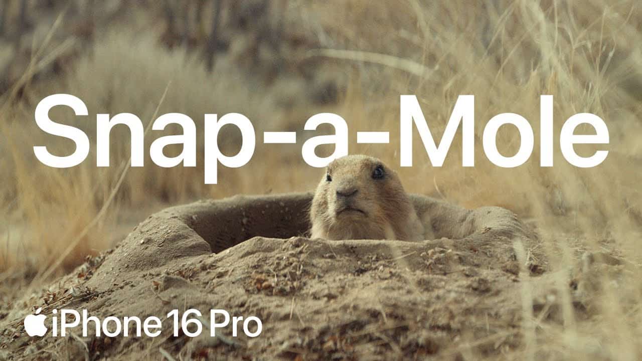 iPhone 16 Pro | Camera Control | Apple