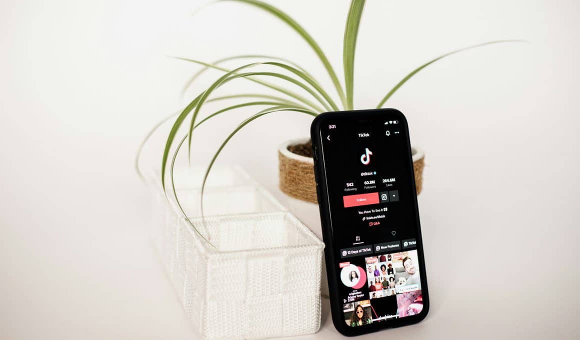 iPhone com o TikTok aberto
