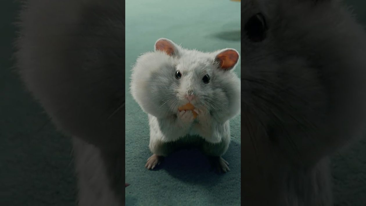 Comerciais do iPhone 17e destacam bateria, durabilidade e armazenamento